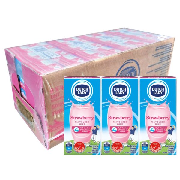 DUTCH LADY SUSU STRAWBERI 4*6*200ML