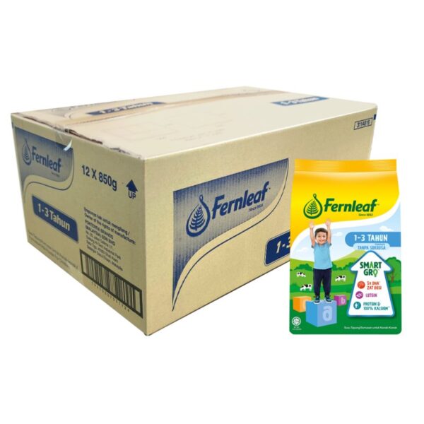 FERNLEAF SUSU TEPUNG 1-3 TAHUN 12*850G