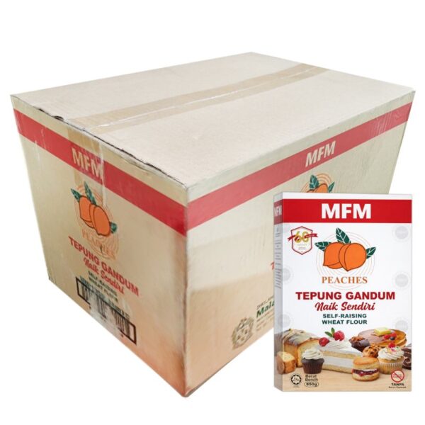 MFM TEPUNG NAIK SENDIRI 12*850G