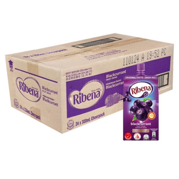 RIBENA PEK 24*300ML