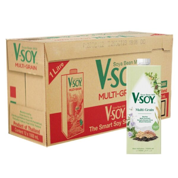 V SOY CAMPURAN BIJIRIN SOYA 12*1L