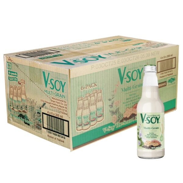 V SOY CAMPURAN BIJIRIN SOYA 4*6*300ML